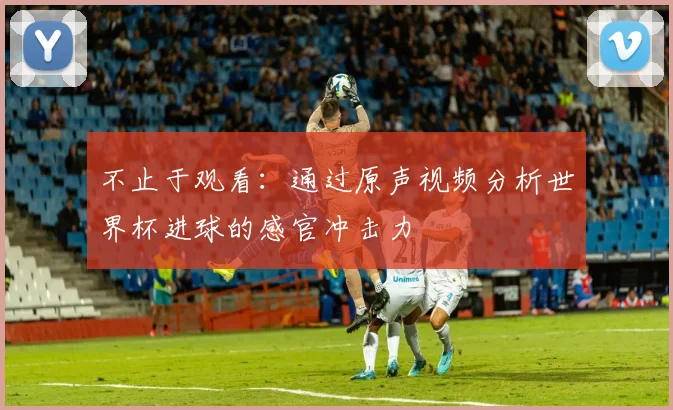 不止于观看：通过原声视频分析世界杯进球的感官冲击力