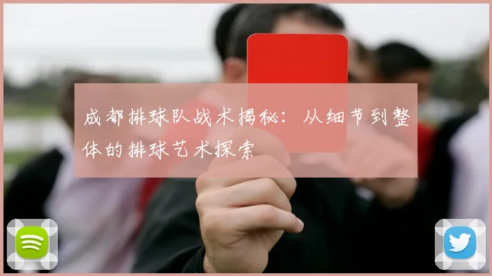 成都排球队战术揭秘：从细节到整体的排球艺术探索