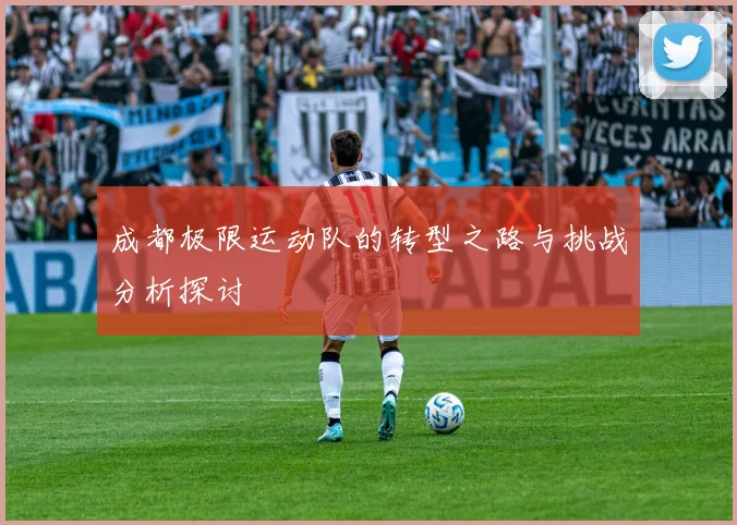 成都极限运动队的转型之路与挑战分析探讨